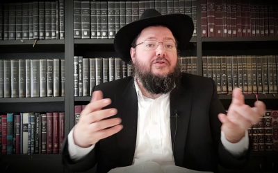 Si un insecte tombe dans un plat, devient-il interdit ? – Rav Michael Abichid