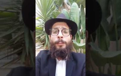 Pinhas : La force de la Techouva – Matityahu Majerowicz