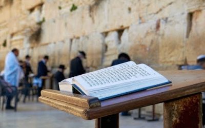 Quelques Halakhot sur les 9 jours – Rav Yaacov Zerbib