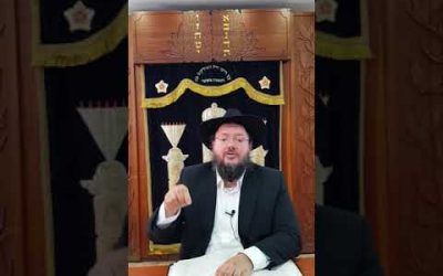 Dans quel cas doit-on faire la bénédiction Hamosti sur du Mezonot ? vidéo 3 – Rav M. Abichid