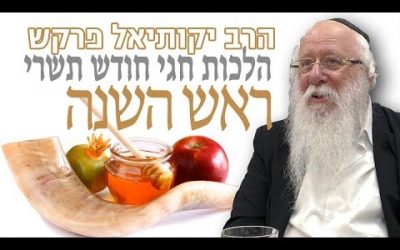Hala’hot Roch Hachana – Rav Yekutiel Farkash – הלכות חגי חודש תשרי ראש השנה – הרב יקותיאל פרקש