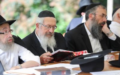 New York :  Yar&rsquo;hei Kalla mondial en l&rsquo;honneur du Haf Av, avec la participation des Rabbanim &lsquo;Habad du monde entier
