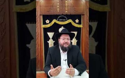 Nos ustensiles doivent-ils être cacherisés après utilisation (cuisson) par un non juif ? Rav M. Abichid