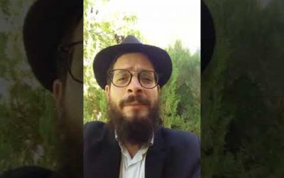Parachat Choftim : Les villes de refuge par Matityahu Majerowicz