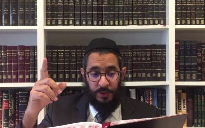 Guemara Brahot 28a Rachi, Hala&rsquo;ha et Hassidout – Rav Menahem Altabe