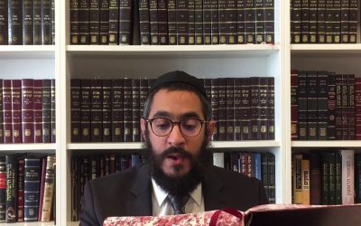 Guemara Brahot 28b Rachi, Hala&rsquo;ha et Hassidout – Rav Menahem Altabe