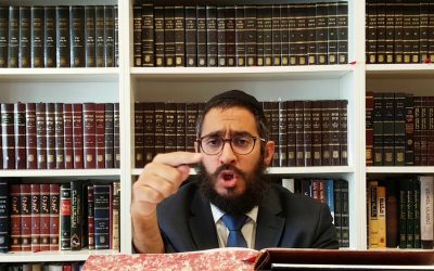 Guemara Brahot 29a Rachi, Hala&rsquo;ha et Hassidout – Rav Menahem Altabe