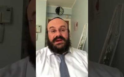 Soukkot: Quel est la signification du Loulav ? Rav Y. Amar