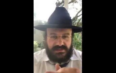 Souccot 5778: En quoi étaient faites les mèches pour les torches de feu dans le Temple ? Rav  Y. Amar