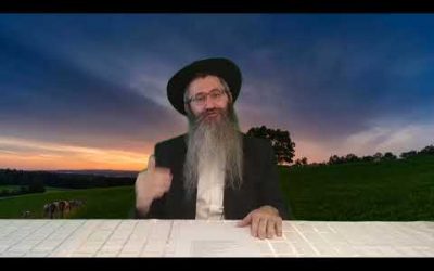 פרשת לך לך – מדוע ביקש אברהם משרה למען ייטב לי בעבורך – רב תמיר קסטיאל