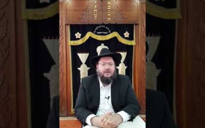 De quelle manière doit-on séparer le poisson et la viande ? Rav M. Abichid