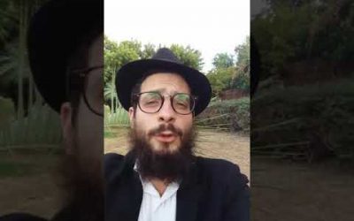 Parachat Berechit : Les Juifs, des voleurs? par Matityahu Majerowicz