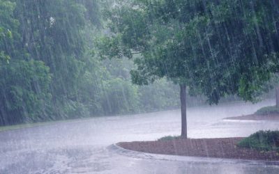 Prière de demande de pluie – le 5 ou 6 décembre ?  par  Yosseph Roger Stioui