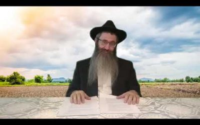 Si&rsquo;ha sur la Paracha &lsquo;Hayé Sarah – Rav Tamir Castiel‎