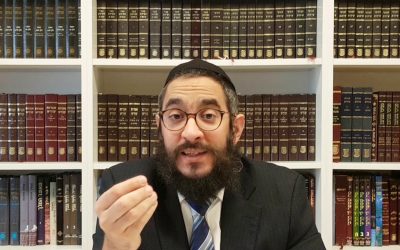 Guemara Brahot 47a Rachi, Hala&rsquo;ha et Hassidout, Par le Rav Menahem Altabe