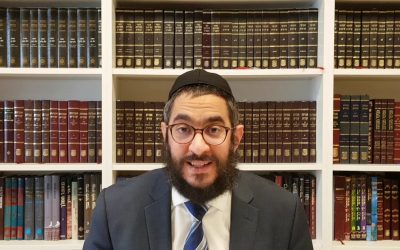 Guemara Brahot 49b Rachi, Hala&rsquo;ha et Hassidout, Par le Rav Menahem Altabe