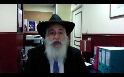 « Le bon vin » Vayigach Rav Yossef David Cohen