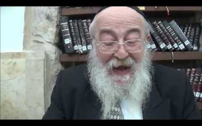 PARACHAT VAYEHI 5779 par le rav Barkatz