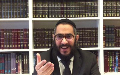 Guemara Brahot 53a Rachi, Hala&rsquo;ha et Hassidout, Par le Rav Menahem Altabe
