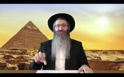 La signification du bâton de Aaron qui a avalé ceux des magiciens Likoutei Sihot 26 par le Rav Tamir Castiel