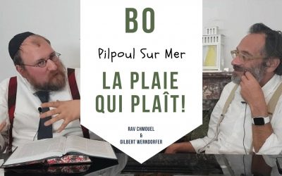 pilpoul sur mer Parachat Bo – La plaie qui plaît –