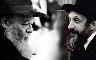 Le Rabbi de Loubavitch au Rav Hillel Pevzner : « Par nature, je suis introverti et j&rsquo;ai accepté de participer activement à la vie publique »