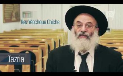 Torah Times -1 minute sur la Paracha de Tazria par le Rav Yéochoua Chiche