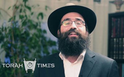 Torah Times – Pessa&rsquo;h – Le 5e fils par le Rav Reouven Halimi