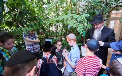 Moscou : Les élèves de « Hevrat Tehilim » et le Grand Rabbin de Russie se rendent au Jardin botanique pour la bénédiction des arbres