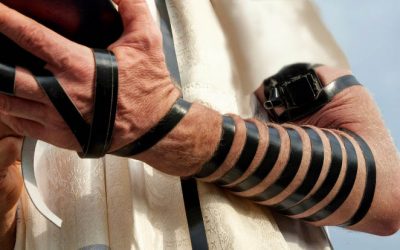Ému aux larmes: Le vieux juif esseulé et les Téfilines