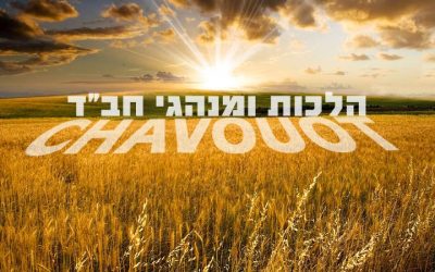 חג השבועות על-פי הספר הלכות ומנהגי חב »ד – Chavouot – Hala’hot et Minhaguim Habad