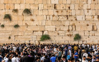 Erev Tichea Beav 5779 au Kottel