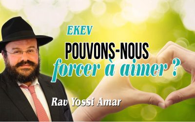 Ekev: Pouvons-nous forcer à aimer ? – Rav Yossi Amar