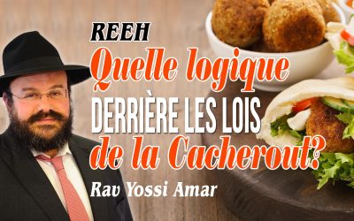 Rééh: Quelle logique derrière les lois de la Cacherout ? par le Rav Yossi Amar