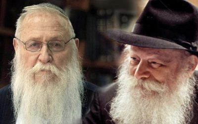 Le Rav Haim Meir Drukman et le Rabbi de Loubavitch