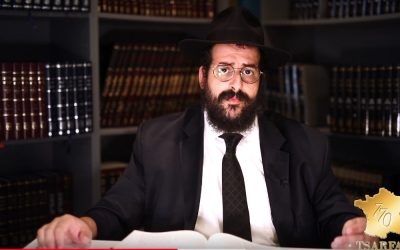 Tsarfat.com :  La Paracha de Choftim par le Rav Mendel Nisenbaum