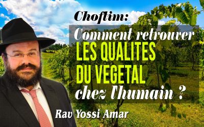 Choftim: Comment retrouver les qualités du « végétal » chez l&rsquo;humain ?