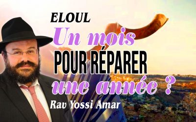 Eloul: un mois pour réparer une année?!