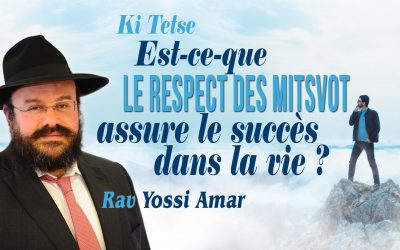 Ki Tetse : Est-ce-que le respect des Mitsvot assure le succès dans la vie?