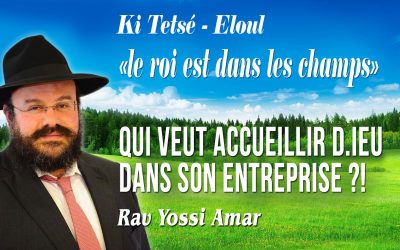 Ki Tetsé – Eloul: «le roi est dans les champs». Qui veut accueillir D.ieu dans son entreprise ?!