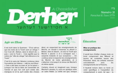 PDF à télécharger : « A Chassidisher Derher » No 31 – Paracha de Ki Tavo