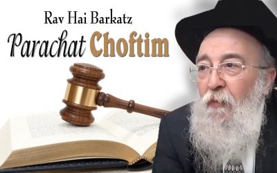 La Paracha de Choftim 5779 Par le Rav Barkatz