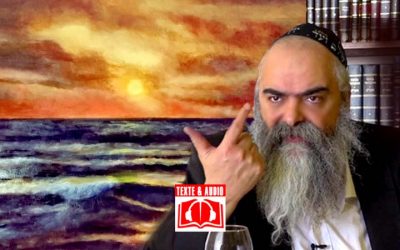 Texte & Audio : Paracha Nitsavim  « Réouta dé Liba », « la Volonté du coeur »  par le Rav Yaakov Abergel