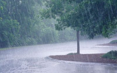 Ki Tavo: Quelle est la différence entre la « Pluie » et la « Parnassa» ?