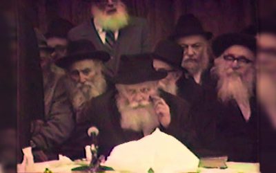&lsquo;Mon Rabbi&rsquo; – Vidéo #56