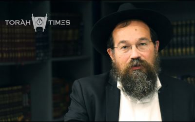 Torah Times : La Paracha de Ki Tétsé – La positive attitude par le Rav Yossef Katan