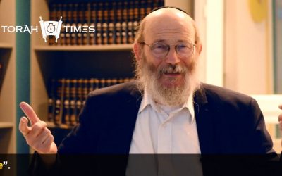 Torah Times : Qu’est-ce que le ‘Hassidisme par le Rav Israel Goldberg