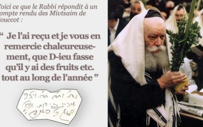 Envoyez votre compte-rendu des Mivstaim du Loulav au 07 62 74 12 12