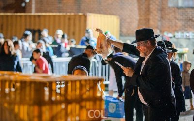 EN IMAGES. Kapparot de la veille de Kippour à Crown Heights