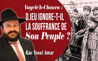 Vayele&rsquo;h – Chouva: D.ieu ignore t-Il la souffrance de Son peuple ?!